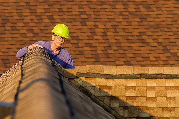 Best Roof Gutter Cleaning  in Glenn Dale, MD